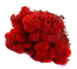 mech-ozdobny-chrobotek-reniferowy-50g-red
