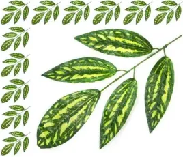 lisc-kroton-galazka-green-marmurek-liscie-12-szt