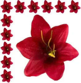 lilia-kwiat-satynowa-glowka-dk-red-12-szt