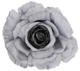 roza-satynowa-duza-piekna-glowka-grey