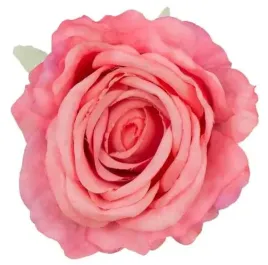 roza-glowka-satynowa-cudna-kwiat-pink-coral