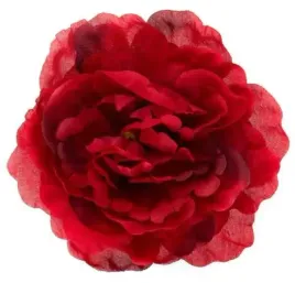 peonia-glowka-wyrobowa-kwiat-red-black