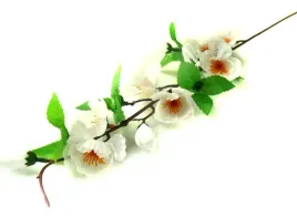 galazka-jabloni-kwiaty-white-jablon-70cm