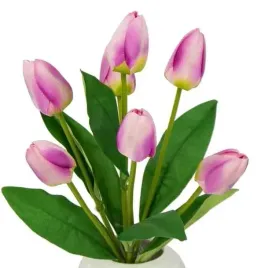 tulipan-w-paku-bukiet-7-kwiatow-cream-purple