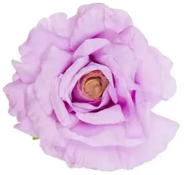 roza-satynowa-duza-piekna-glowka-tt-pink