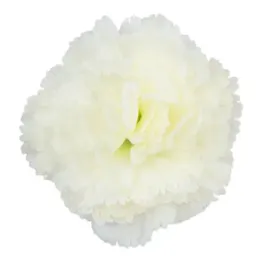 gozdzik-glowka-sztuczne-kwiaty-cream