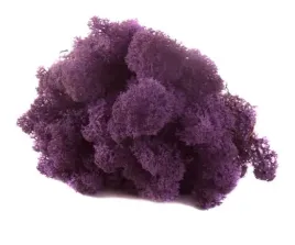 mech-chrobotek-reniferowy-50g-purple-violet