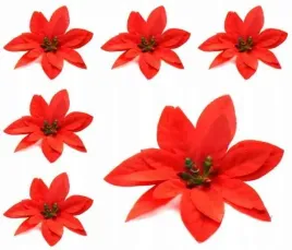 poinsecja-glowka-8-cm-welur-red-6-szt