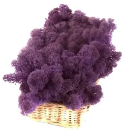 mech-chrobotek-reniferowy-200g-purple-violet