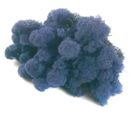 mech-ozdobny-chrobotek-reniferowy-50g-azure-blue