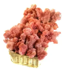 mech-ozdobny-chrobotek-reniferowy-200g-pink