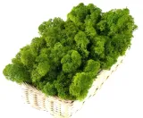 mech-chrobotek-reniferowy-200g-medium-green-kod-producenta-myflowers-pl-stan-nowy