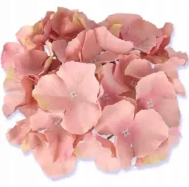 hortensja-glowka-satyna-mauve-pink