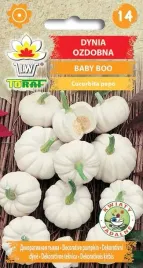 nasiona-dynia-ozdobna-baby-boo-2g