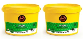 2x-pulapka-na-muchy-xxl-wielokrotnego-uzytku-silny-wabik-przyneta-strong