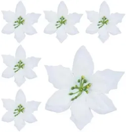 poinsecja-velvet-white-gwiazda-betlejemska-6-szt-biala