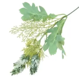chmiel-galazka-ozdobna-mint-szyszki-chmielu