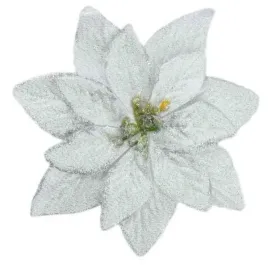 poinsecja-brokat-silver-gwiazda-betlejemska