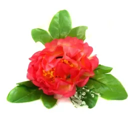 peonia-glowka-z-lisciem-kwiat-tt-pink