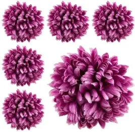 chryzantema-ananas-glowka-6-szt-kwiat-lt-purple