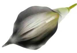 kalla-glowka-kwiat-z-pianki-kalia-black
