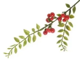 galazka-z-czerwonymi-owocami-nandina-red