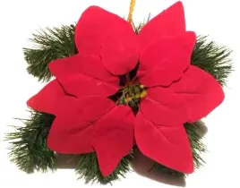 poinsecja-velvet-red-gwiazda-betlejemska-21-cm-czerwona