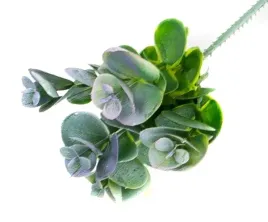 eukaliptus-x-5-galazka-bukiet-trawa-galazka-violet