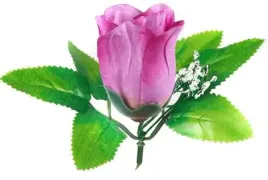 roza-pak-glowka-z-lisciem-i-gipsowka-purple