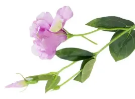 eustoma-galazka-pink-sztuczne-kwiaty