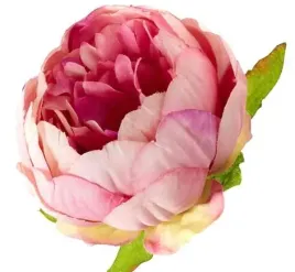 peonia-glowka-wyrobowa-piwonia-kwiat-mauve-pink-center
