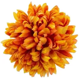 chryzantema-ananas-glowka-14-cm-kwiat-orange-brown