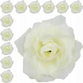 roza-francuska-glowka-cream-12-sztuk