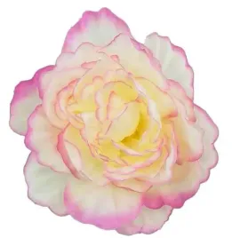 peonia-glowka-wyrobowa-kwiat-cream-pink-edge