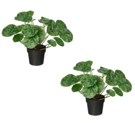 ikea-fejka-sztuczna-roslina-w-doniczce-pilea-jak-zywa-komplet-2-sztuk