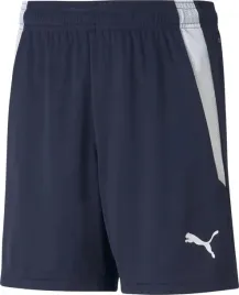 spodenki-dla-dzieci-puma-teamliga-shorts-jr-granatowe-704931-06-rozm-140cm