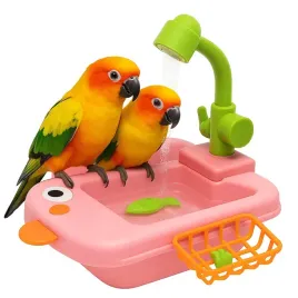 basen-dla-papug-z-zabawkami-malinowy-or-parrot-planet