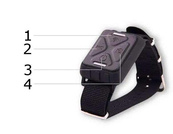 pilot-gitup-git2-git1-oryginal-zdalne-sterowanie-rodzaj-pilot