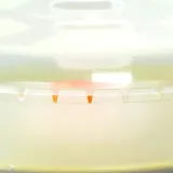 pokrywka-do-mikrofali-26-cm-stan-opakowania-oryginalne