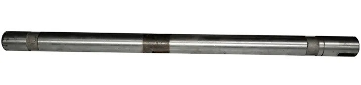 bizon-walek-5058750190