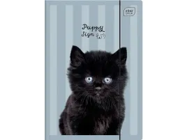interdruk-szkolna-teczka-z-gumka-a4-na-dokumenty-rysunki-puppy-sing-kot