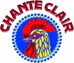 chante-clair-do-naczyn-pomarancza-500ml-waga-z-opakowaniem-0-5-kg
