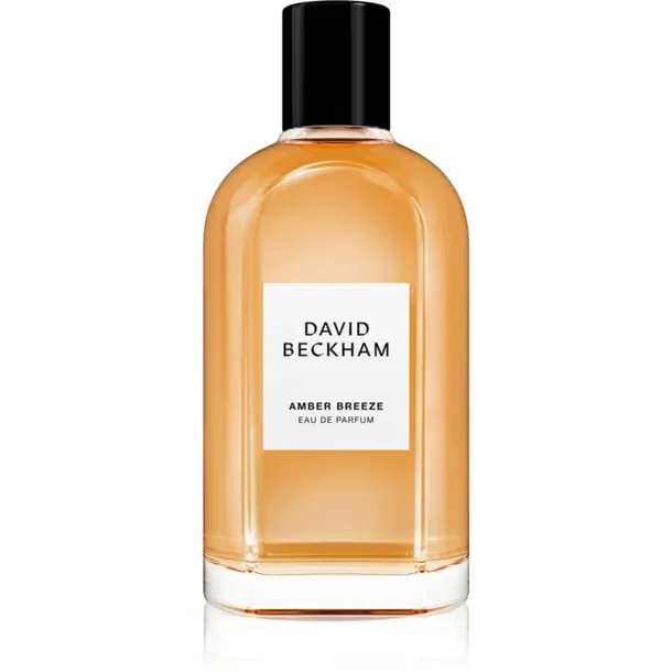 david-beckham-amber-breeze-edp-100-ml