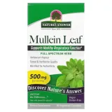 mullein-leaf