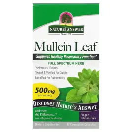 mullein-leaf
