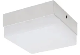 struhm-plafon-natynkowy-kwadratowy-robin-12w-12cm