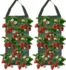 2x-wiszacy-worek-do-uprawy-truskawek-25x60-cm-8-otworow-ogrod-balkon