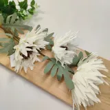 galazka-aster-x3-bialy-stan-nowy