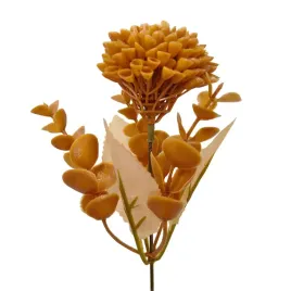 dodatek-pik-brazowy