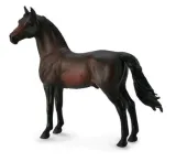 kon-morgan-stallion-bay-collecta